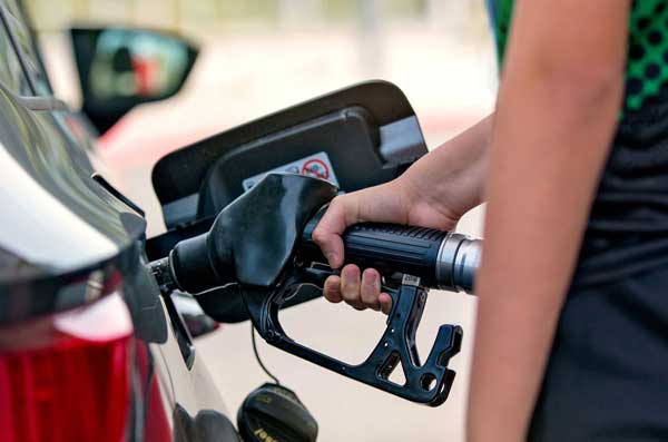Gasoline and Diesel Cars