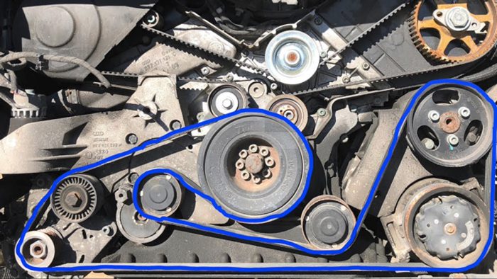 Car Serpentine Belt